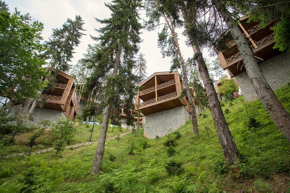 Hancioglu Orman Evleri & Hotel Трабзон Екстер'єр фото